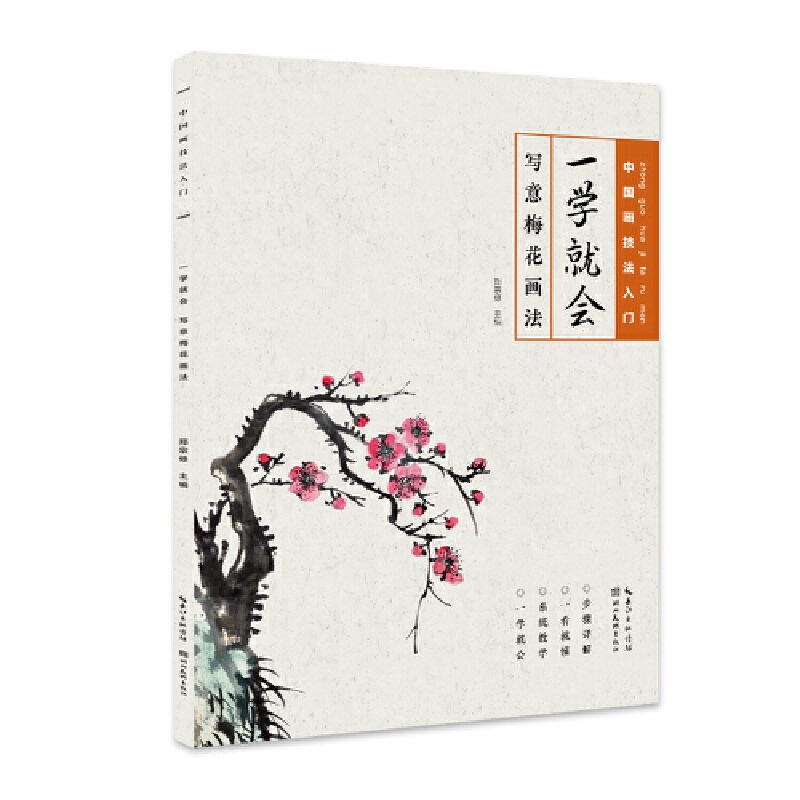 中国画技法入门-一学就会-写意梅花画法