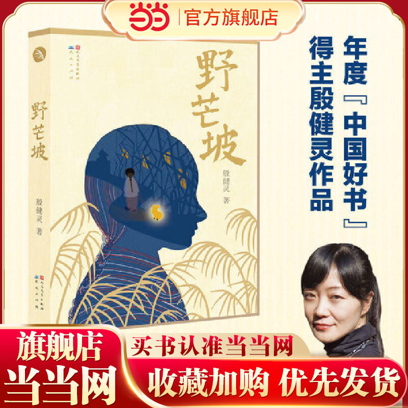 当当网正版童书 野芒坡殷健灵儿童文学长篇三四五六年级小学生课外书籍成长励志故事 9-12-14岁儿童读物心灵成长小说 寒暑假阅读