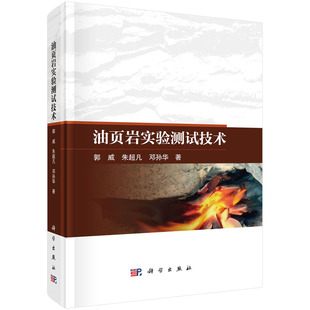 油页岩实验测试技术9787030837110郭威科学出版 社