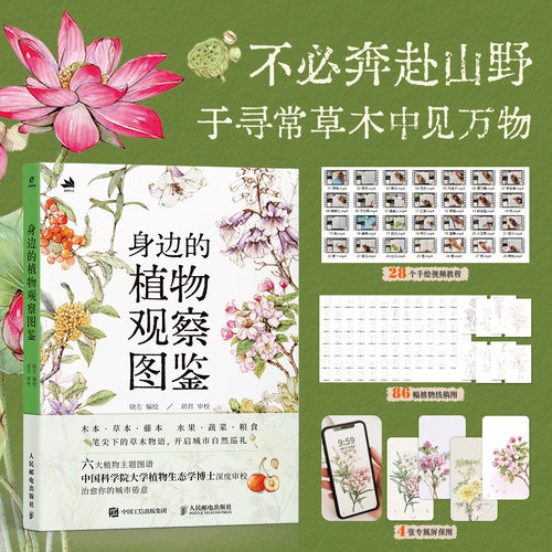 【当当网 正版图书】身边的植物观察图鉴 不必奔赴山野，于寻常草木中见万物