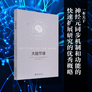 【当当网】大脑节律 对神经元同步机制和功能快速发展相关研究的一本优秀综述 [美]哲尔吉·布扎基 著  北京大学出版社 正版书籍