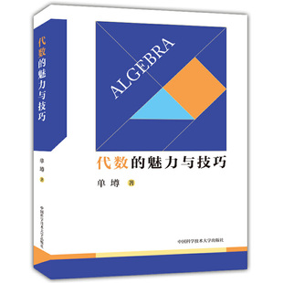 魅力与技巧 代数