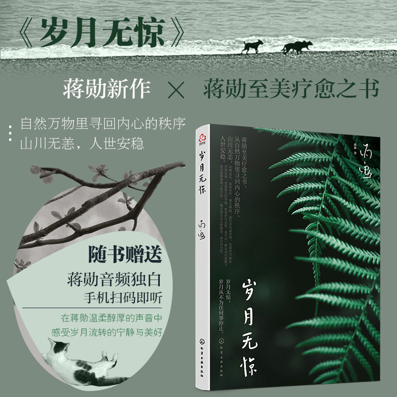 赠蒋勋音频独白 岁月无惊 蒋勋新作 至美疗愈心理自助励志书籍 美学大师画阐释生活之美生命之好大众唯美散文心灵鸡汤心理健康书