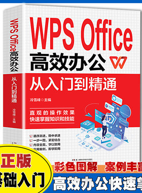 WPS Office 高效办公从入门到精通 从入门到精通办公室基础电脑软件一套通