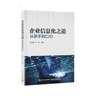 企业信息化之道：从新手到CIO