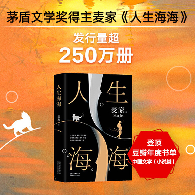 【当当网 正版书籍】人生海海 麦家 杨洋董卿茅盾文学奖得主麦家暗算风声解密新作莫言文学小说畅销书使用感如何?