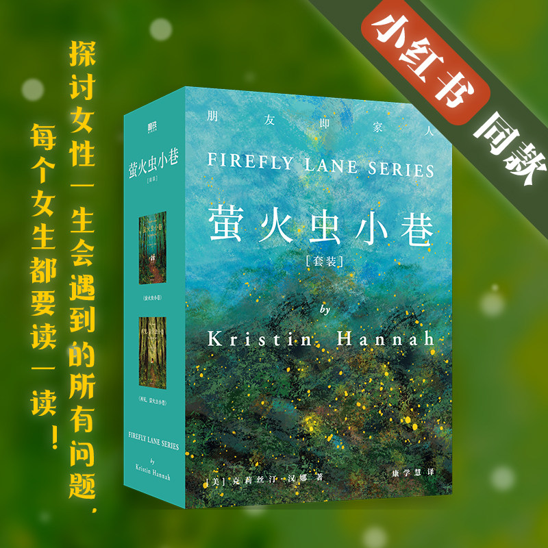 当当网官方旗舰 萤火虫小巷套装全2册 克莉丝汀汉娜著 女性贫困社会地位女性友谊婚姻事业容貌焦虑女性独立 女性成长经典属于什么档次？