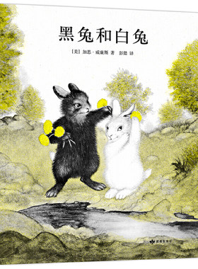 黑兔和白兔