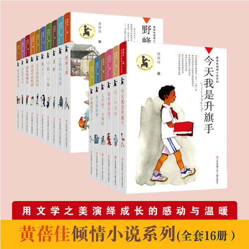 今天我是升旗手黄蓓佳倾情小说