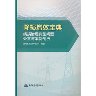 降损增效宝典：线损治理典型问题处置与案例剖析