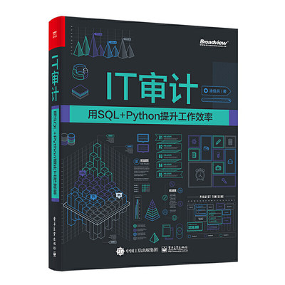 当当网 IT审计：用SQL+Python提升工作效率 涂佳兵 电子工业出版社 正版书籍