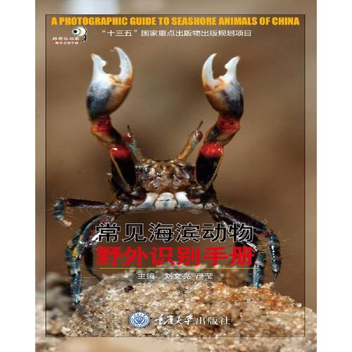 当当网 常见海滨动物野外识别手册 图文并茂的原创自然读物 海洋动物爱好者和生态摄影爱好者参考 图文并茂的原创自然读 正版书籍