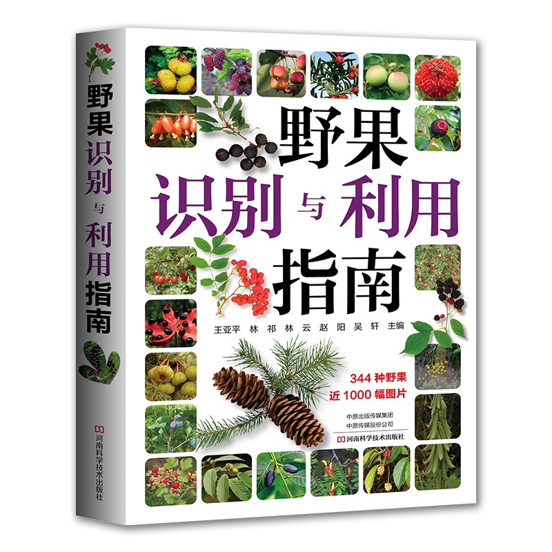 当当网 野果识别与利用指南 王亚平林祁植物野菜国图鉴常见野果名称品种要点生境食用部位方法食疗保健与药用功能鉴别野果指南正版