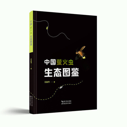 中国萤火虫生态图鉴（全面收录中国77种萤火虫，高清微距摄影）权威图鉴