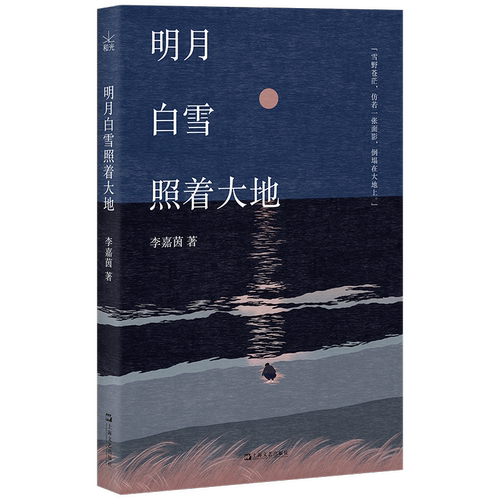 【当当网】明月白雪照着大地 95后作家李嘉茵shou部小说集 迷惘时代的漫游者之歌 献给所有仍在路上的异乡者 中国当代小说 正版