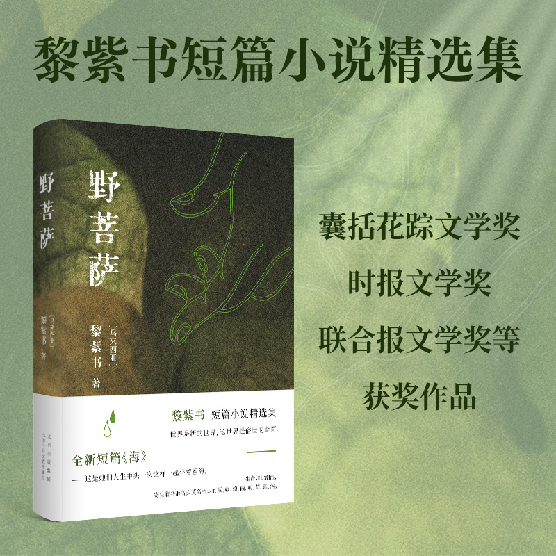 【当当网】野菩萨 黎紫书 《流俗地》作者短篇小说精选集 收入新短篇《海》 王德威推荐 马来西亚小说 正版书籍畅销书排行榜