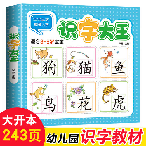 识字大王 儿童学前看图识字书  3-6岁幼儿园宝宝学汉字注拼音版 幼升小一年级教材幼小衔接学习启蒙早教卡片