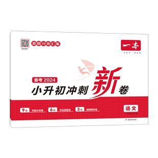 当当网正版书籍 2026新版一本小升初冲刺新卷语文数学英语小考总复习模拟真题试卷分班考小学六年级升初中必刷题知识大盘点人教版