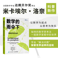 当当网 数学的雨伞下：理解世界的乐趣 [法] 米卡埃尔·洛奈（Mickael Launay） 人民邮电出版社 正版书籍