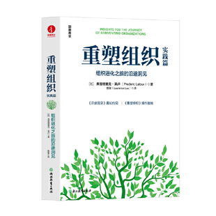 重塑组织实践篇：组织进化之旅 沿途洞见
