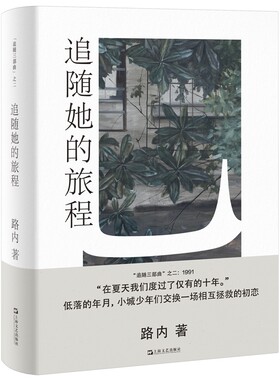 当当网  追随她的旅程（路内追随系列）正版书籍