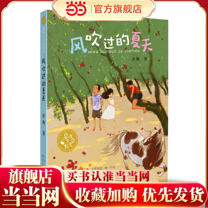 总有一天会长大&mdash;&mdash;风吹过的夏天