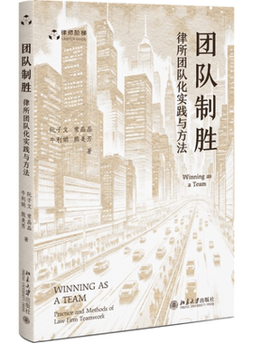 团队制胜 律所团队化实践与方法 律师阶梯