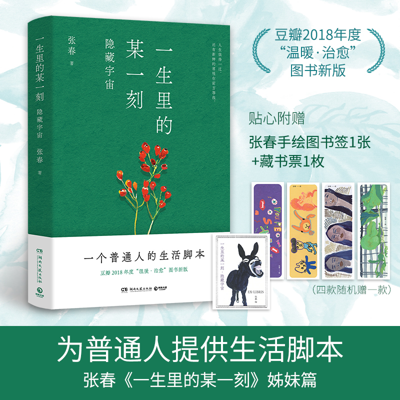 一生里的某一刻 隐藏宇宙（当当自营为普通人提供生活脚本《一生里的某一刻》姊妹篇 豆瓣2018年度温暖治愈图书新版）