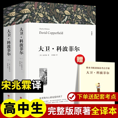 大卫 科波菲尔 上下全2册 全译本 狄更斯 中文版无删减版 七八九年级初高中寒暑假课外阅读书世界名著外国小说书籍畅销书