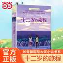 当当网正版 旅程长青藤国际大奖小说书系第6辑十岁那年姊妹篇6 十二岁 12岁中小学生课外阅读青春儿童文学图画故事读物书 童书