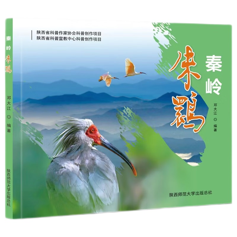 秦岭朱鹮 百态图册 “秦岭四宝”之一