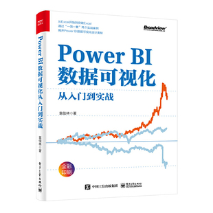 当当网 Power BI数据可视化从入门到实战 袁佳林 电子工业出版社 正版书籍