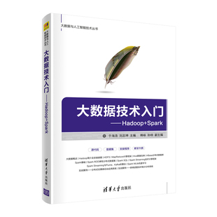 大数据技术入门——Hadoop 程序设计 正版 当当网 Spark 社 书籍 清华大学出版