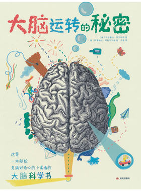 大脑运转的秘密