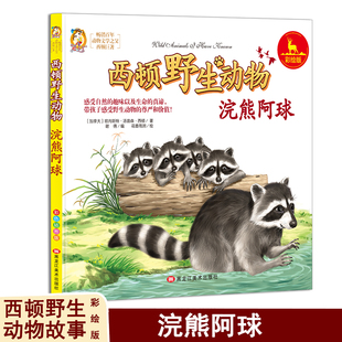 浣熊阿球 西顿野生动物彩绘版西顿动物记动物小说全集动物百科自然科普类书籍青少年读物6-7-10-12-15岁动物王国大探秘儿童文学畅
