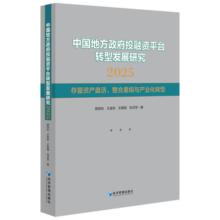 中国地方政府投融资平台转型发展研究2025：存量资产盘活、整合重组与产
