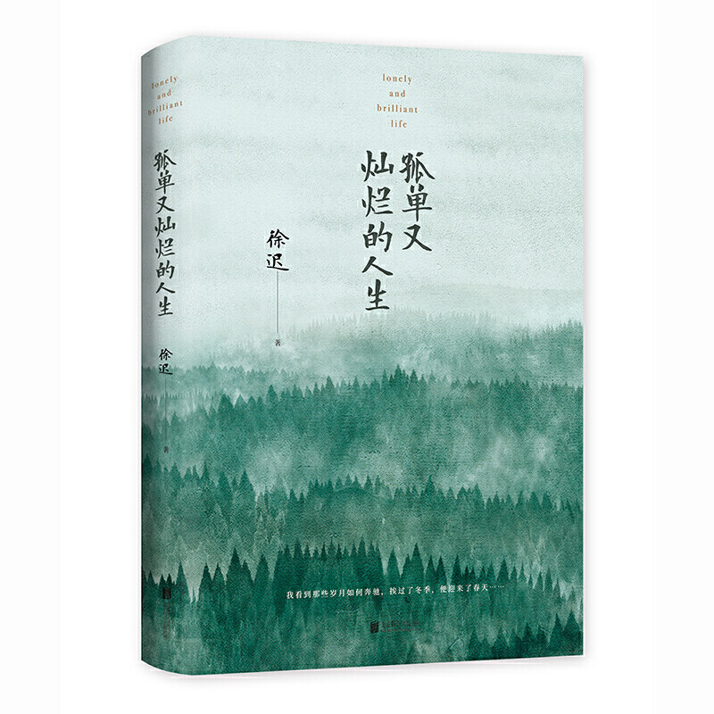 孤单又灿烂的人生（李现领读，《瓦尔登湖》首译者、大师徐迟毕生作品精选）怎么样,好用不?