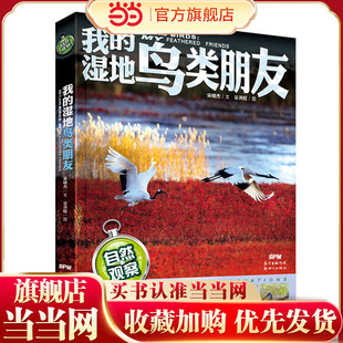 自然观察: 我的湿地鸟类朋友