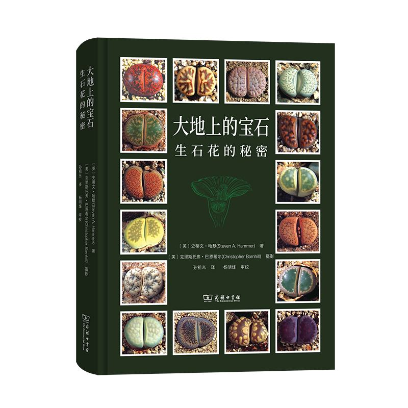 当当网 大地上的宝石——生石花的秘密 [美]史蒂文·哈默 著 [美]克里斯托弗·巴恩希尔 摄影 商务印书馆 正版书籍