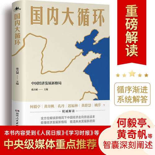 【当当网 正版书籍】国内大循环（全景式解读大循环 更加贴近决策层的视角彻底讲透新发展格局下的战略与机遇！）