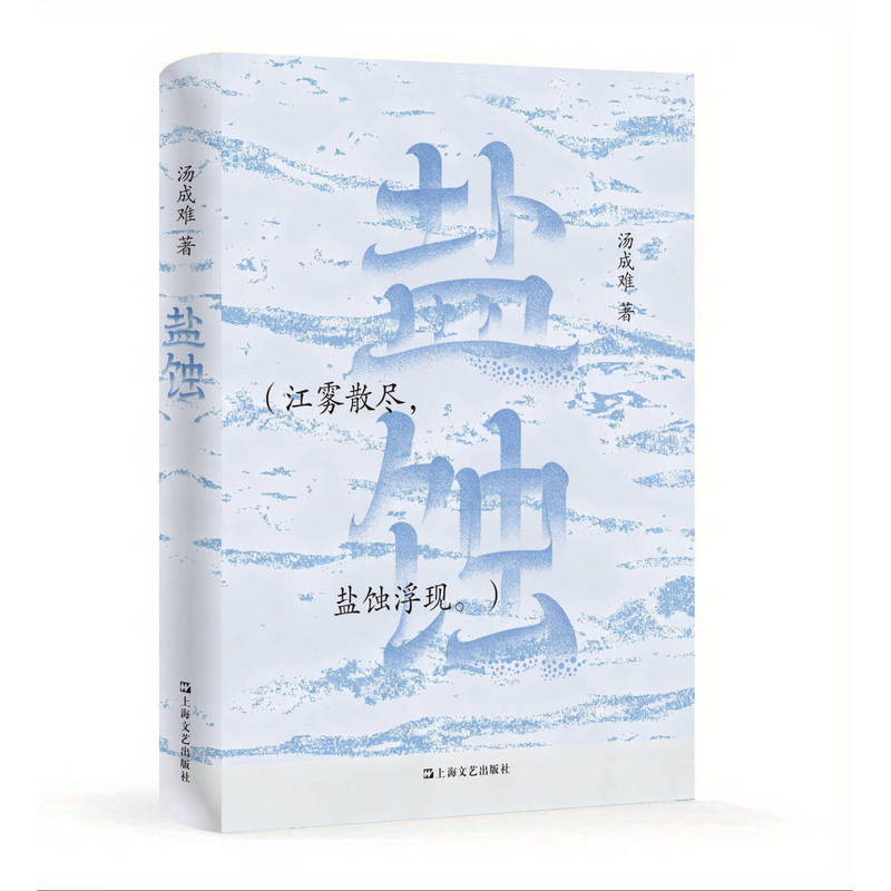 【当当网】盐蚀 汤成难 这不是谍战 是三个无名之辈 用算盘 船钉和一封书信发起的绝地反击 长江口岸的盐运悲欢 小说 正版书籍