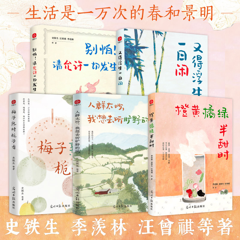 人群太吵我想去听旷野的风+橙黄橘绿半甜时+梅子熟时栀子香+别怕请允许一切发生+又得浮生一日闲（套装5册）