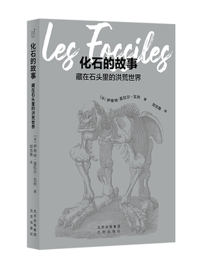 发现之旅 化石的故事：藏在石头里的洪荒世界  古生物学入门指南