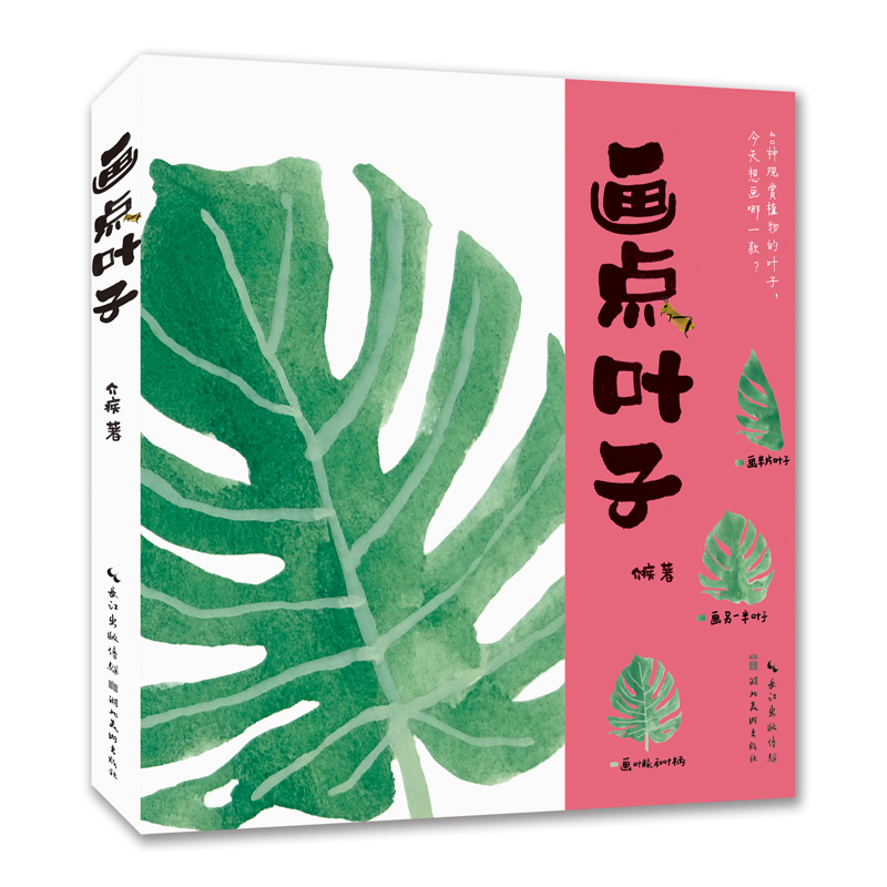 画点叶子