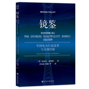 镜鉴:中国电力行业改革与全球经验