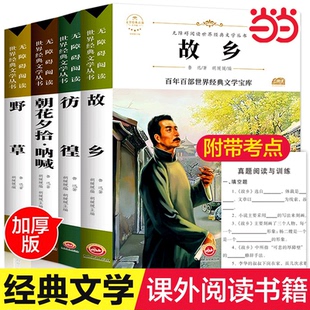 鲁迅原著正版 野草 彷徨全套4册六年级必读课外书鲁迅 散文作品集书籍经典 故乡 书6年级课外阅读书籍老师推荐 全集读本 配套考点