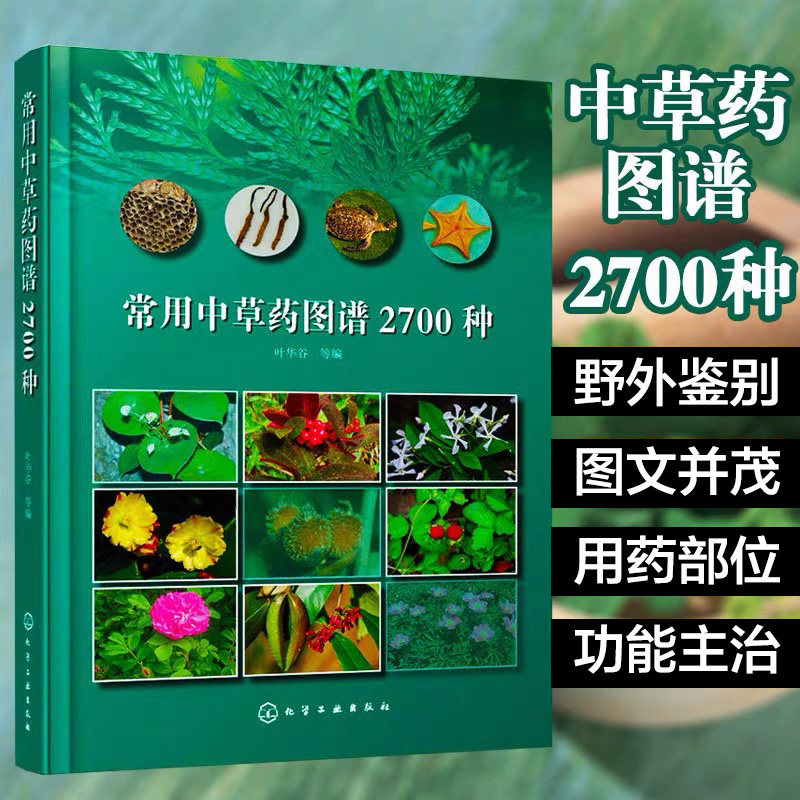 当当网 常用中草药图谱2700种 叶华谷 中草药鉴别辨别方法中草药名称 中草药鉴别辨别方法 中草药品种种类分类形态形野外识别手册,书籍/杂志/报纸,药学,淘宝优惠券,粉丝福利购,淘宝优惠卷