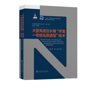 大型先进压水堆“华龙一号优化改进型”技术