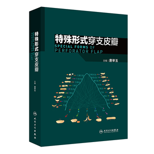 特殊形式 穿支皮瓣
