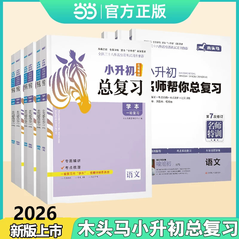 小升初名师帮你总复习木头马图片